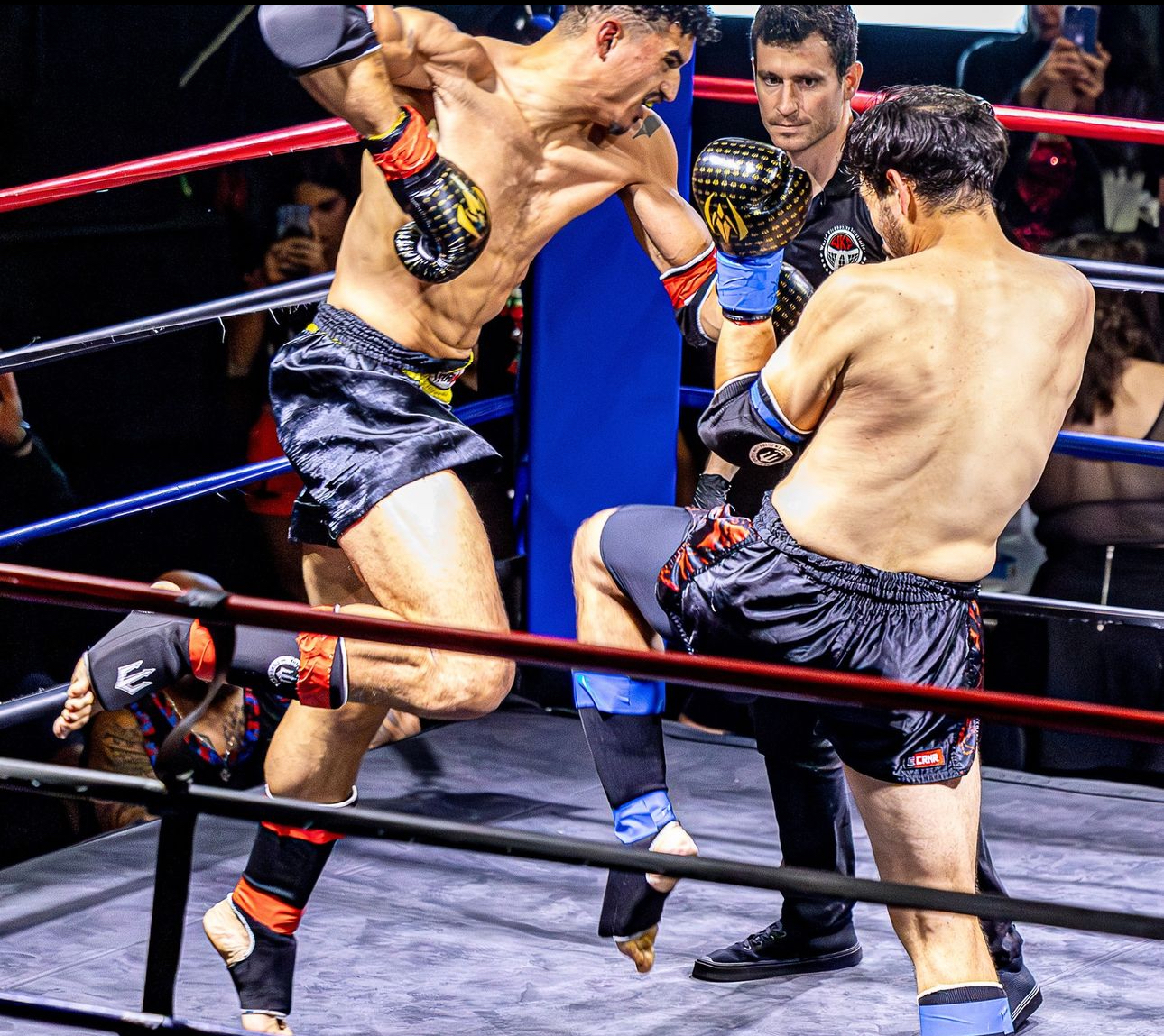 fighting boxing glvoes